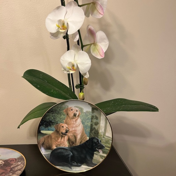 Franklin Mint Heirloom Recommendation, Canine Companions, by Nigel Hemming - Picture 3 of 3